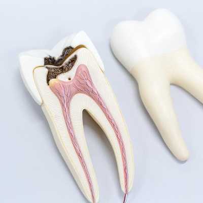 Endodontie